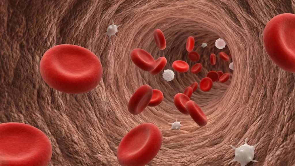 Bleeding Disorder Treatment